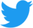 Twitter advertising services